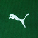 Camisa do Palmeiras Home Jersey Jogador 26/27 Puma Masculina